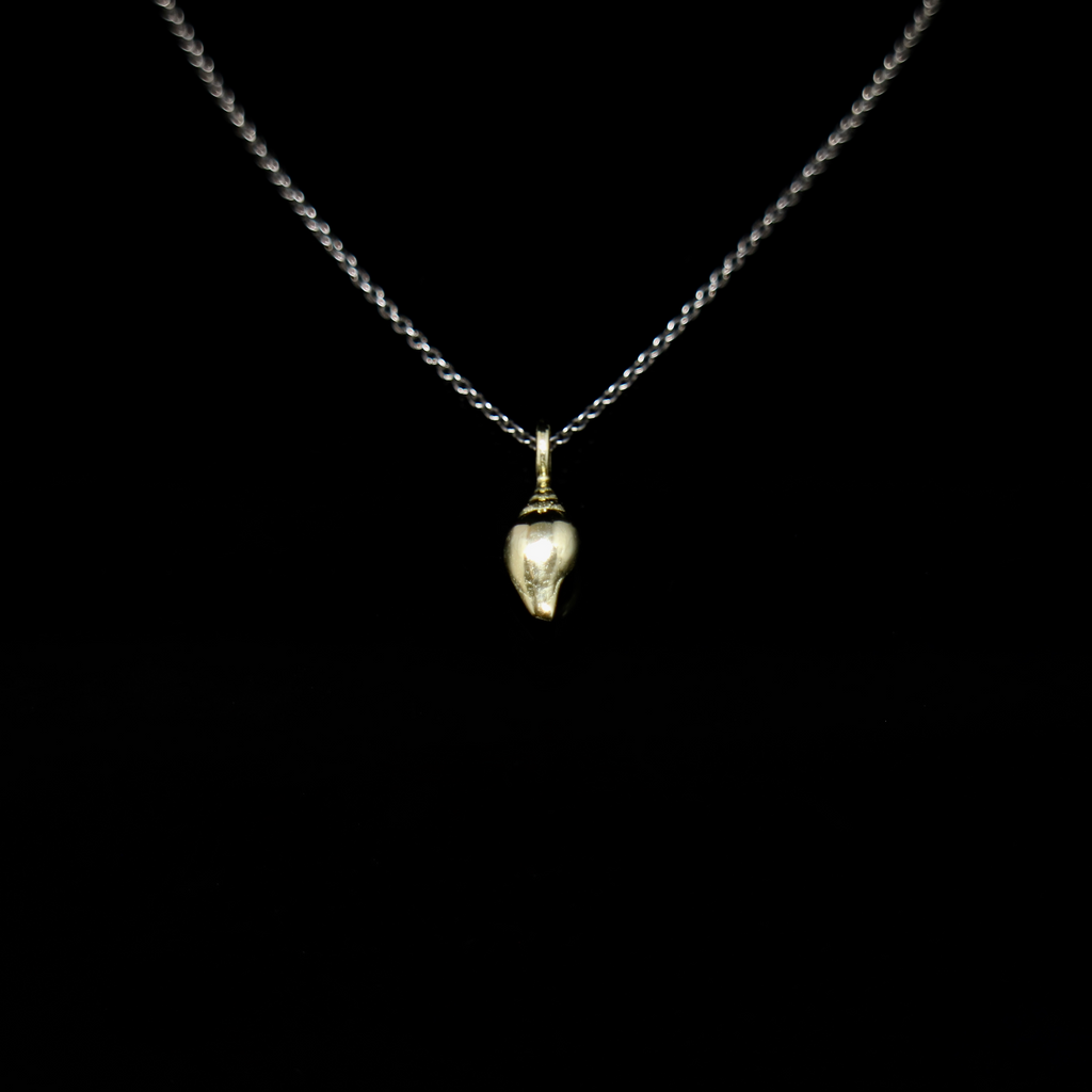 Seashell Necklace - Single Shell - Gold