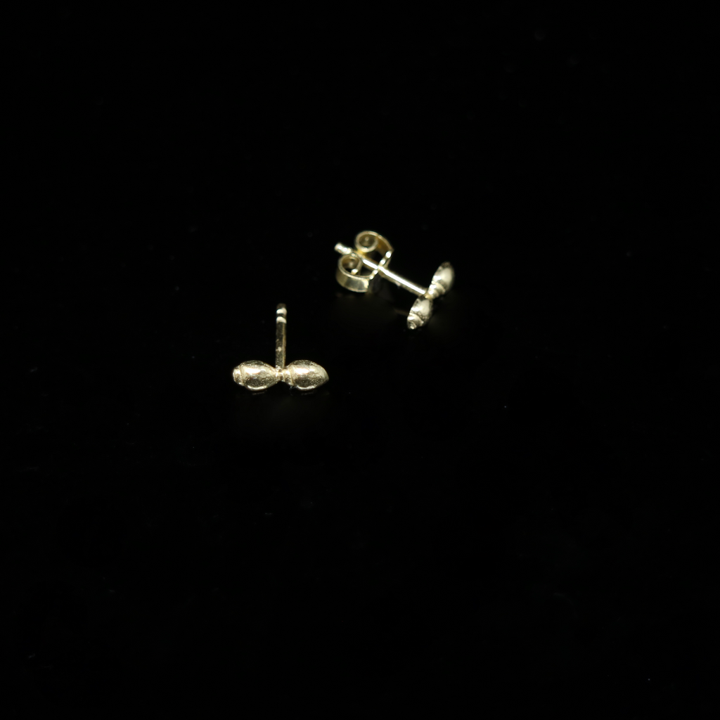Seashell Earrings - 2 Shells - Studs - Gold