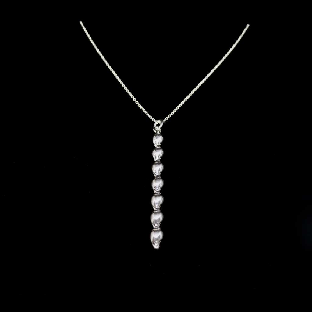 Seashell Necklace - Single Column of Shells - Larger Shells - Silver